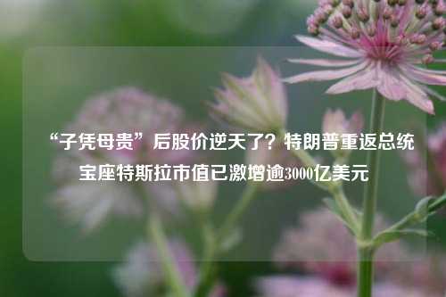 “子凭母贵”后股价逆天了？特朗普重返总统宝座特斯拉市值已激增逾3000亿美元