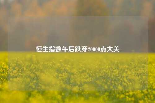 恒生指数午后跌穿20000点大关