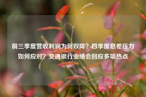 前三季度营收利润为何双降？四季度息差压力如何应对？交通银行业绩会回应多项热点