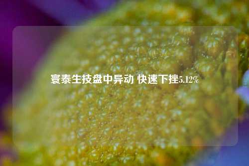 寰泰生技盘中异动 快速下挫5.12%