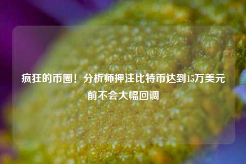 疯狂的币圈！分析师押注比特币达到15万美元前不会大幅回调