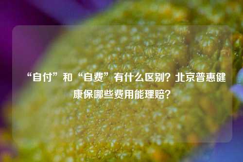 “自付”和“自费”有什么区别？北京普惠健康保哪些费用能理赔？