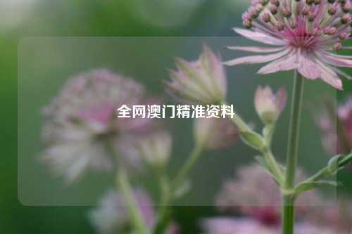 全网澳门精准资料