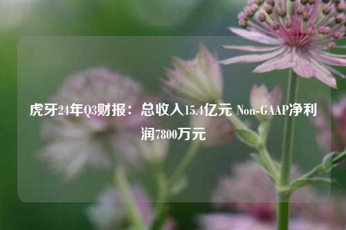 虎牙24年Q3财报：总收入15.4亿元 Non-GAAP净利润7800万元