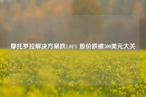 摩托罗拉解决方案跌1.01% 股价跌破500美元大关