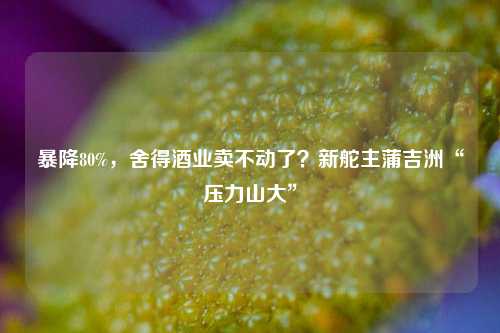 暴降80%，舍得酒业卖不动了？新舵主蒲吉洲“压力山大”