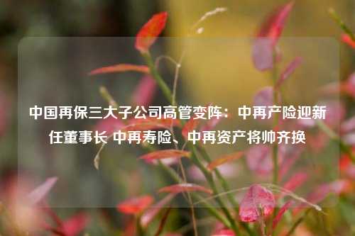 中国再保三大子公司高管变阵：中再产险迎新任董事长 中再寿险、中再资产将帅齐换