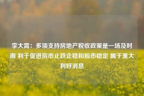 李大霄：多项支持房地产税收政策是一场及时雨 利于促进房市止跌企稳和股市稳定 属于重大利好消息