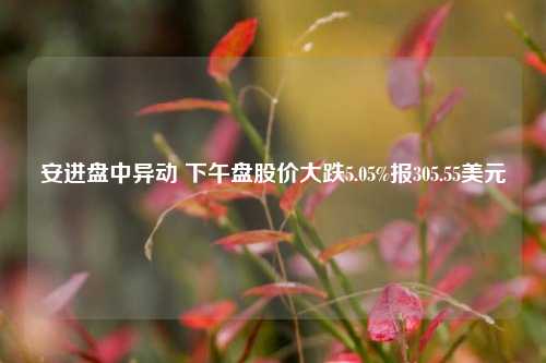 安进盘中异动 下午盘股价大跌5.05%报305.55美元