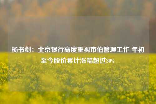 杨书剑：北京银行高度重视市值管理工作 年初至今股价累计涨幅超过30%