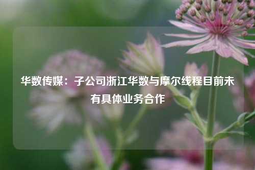 华数传媒：子公司浙江华数与摩尔线程目前未有具体业务合作