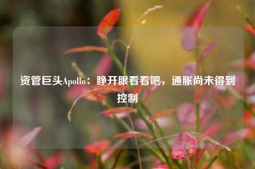 资管巨头Apollo：睁开眼看看吧，通胀尚未得到控制