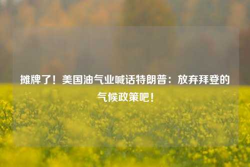 摊牌了！美国油气业喊话特朗普：放弃拜登的气候政策吧！