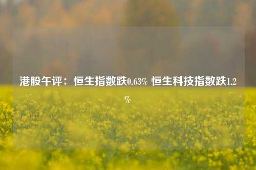 港股午评：恒生指数跌0.63% 恒生科技指数跌1.2%