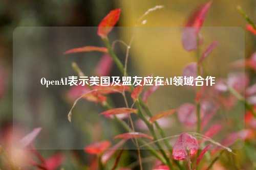 OpenAI表示美国及盟友应在AI领域合作