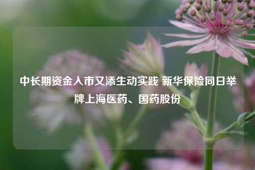 中长期资金入市又添生动实践 新华保险同日举牌上海医药、国药股份