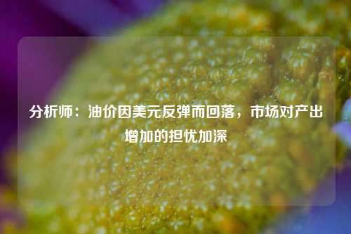 分析师：油价因美元反弹而回落，市场对产出增加的担忧加深