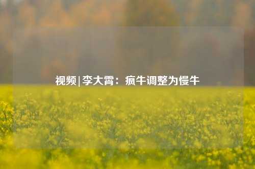 视频|李大霄：疯牛调整为慢牛