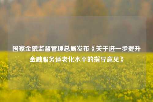 国家金融监督管理总局发布《关于进一步提升金融服务适老化水平的指导意见》