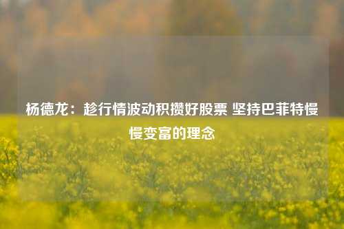 杨德龙：趁行情波动积攒好股票 坚持巴菲特慢慢变富的理念