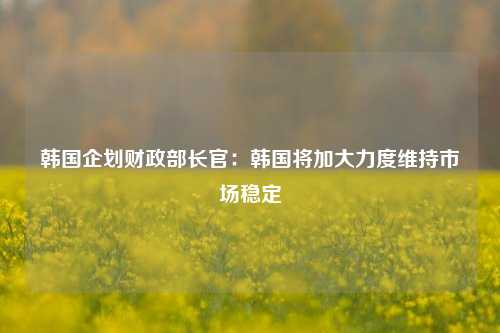 韩国企划财政部长官：韩国将加大力度维持市场稳定