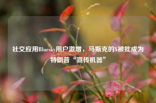 社交应用Bluesky用户激增，马斯克的X被批成为特朗普“宣传机器”