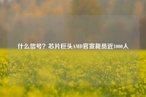 什么信号？芯片巨头AMD官宣裁员近1000人