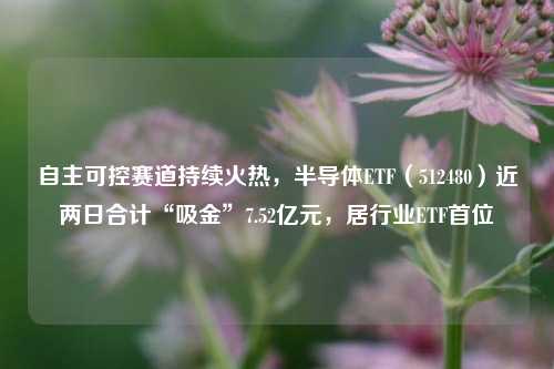 自主可控赛道持续火热，半导体ETF（512480）近两日合计“吸金”7.52亿元，居行业ETF首位