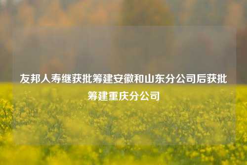 友邦人寿继获批筹建安徽和山东分公司后获批筹建重庆分公司