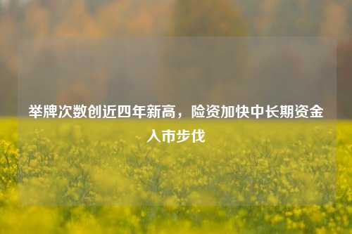 举牌次数创近四年新高，险资加快中长期资金入市步伐