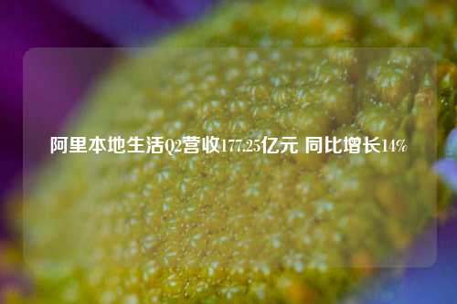 阿里本地生活Q2营收177.25亿元 同比增长14%