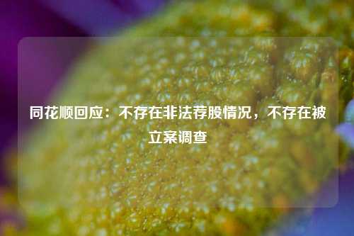 同花顺回应：不存在非法荐股情况，不存在被立案调查