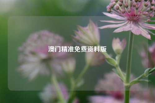 澳门精准免费资料版