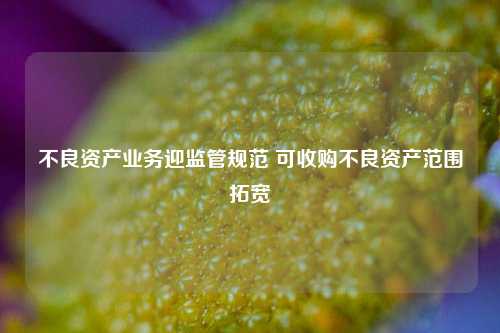 不良资产业务迎监管规范 可收购不良资产范围拓宽