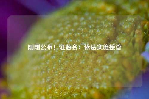 刚刚公布！证监会：依法实施接管