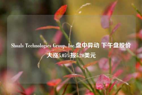 Shoals Technologies Group, Inc.盘中异动 下午盘股价大涨5.05%报5.20美元