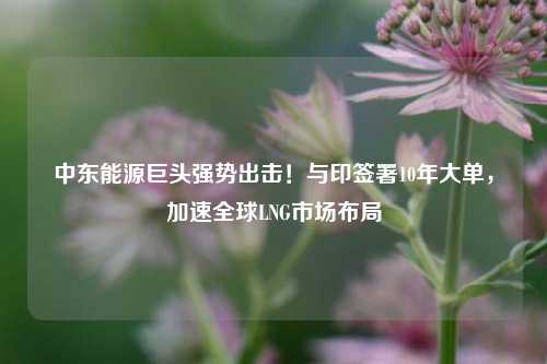 中东能源巨头强势出击！与印签署10年大单，加速全球LNG市场布局