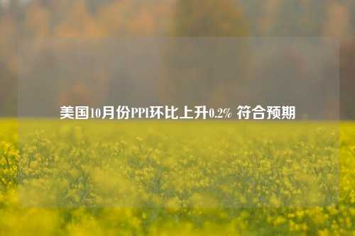 美国10月份PPI环比上升0.2% 符合预期