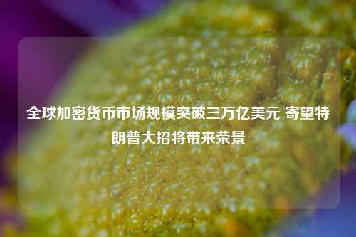 全球加密货币市场规模突破三万亿美元 寄望特朗普大招将带来荣景