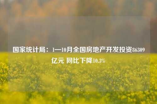 国家统计局：1—10月全国房地产开发投资86309亿元 同比下降10.3%