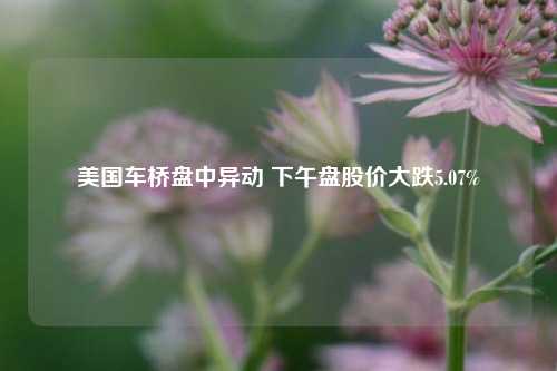 美国车桥盘中异动 下午盘股价大跌5.07%