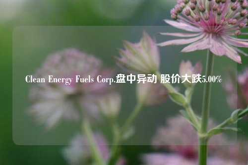 Clean Energy Fuels Corp.盘中异动 股价大跌5.00%