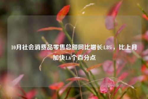 10月社会消费品零售总额同比增长4.8%，比上月加快1.6个百分点