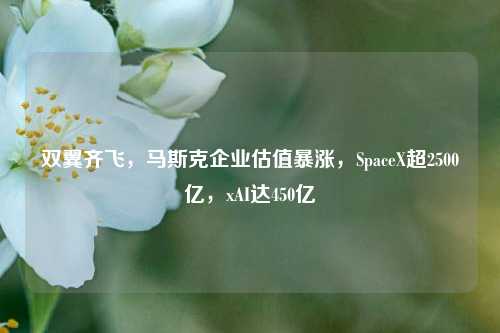 双翼齐飞，马斯克企业估值暴涨，SpaceX超2500亿，xAI达450亿