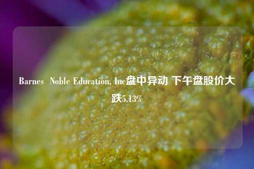 Barnes  Noble Education, Inc盘中异动 下午盘股价大跌5.13%