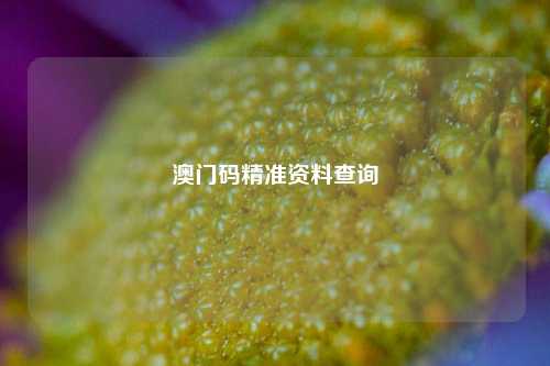 澳门码精准资料查询