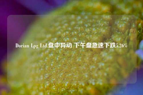 Dorian Lpg Ltd.盘中异动 下午盘急速下跌5.26%