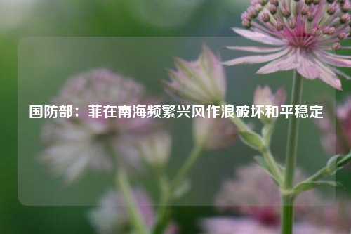 国防部：菲在南海频繁兴风作浪破坏和平稳定