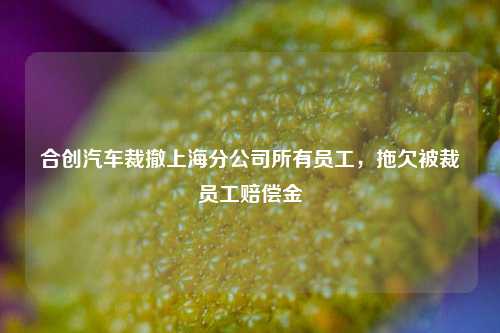 合创汽车裁撤上海分公司所有员工，拖欠被裁员工赔偿金