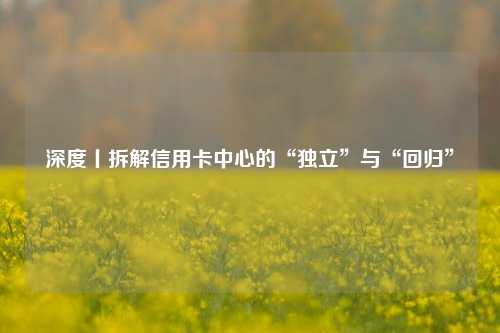 深度丨拆解信用卡中心的“独立”与“回归”